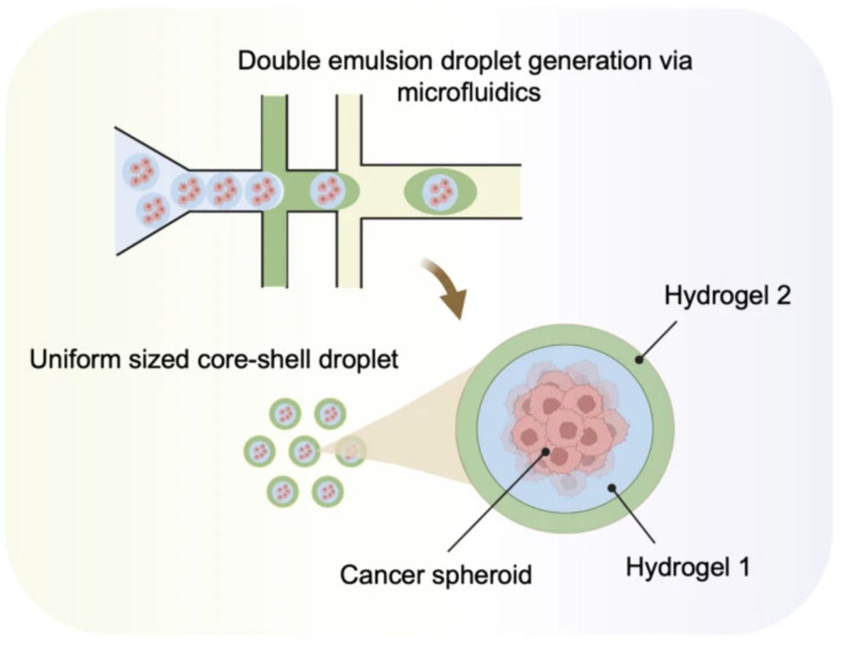 NanoBio Systems Lab @ TAMU tweet media