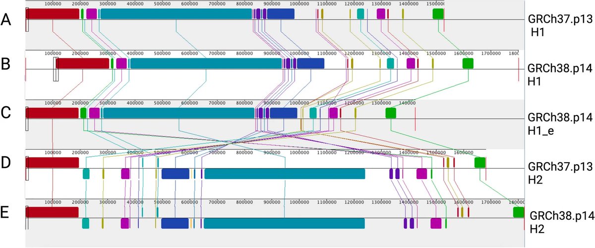 Molecular Neurodegeneration (@molneuro) on Twitter photo 'Unraveling the complex role of #MAPT-containing H1 and H2 haplotypes in #neurodegenerative diseases'
<a href="/ChiaraPedicone/">Chiara Pedicone</a> Sarah A. Weitzman, Alan E. Renton, Alison M. Goate <a href="/IcahnMountSinai/">Icahn School of Medicine at Mount Sinai</a>
bit.ly/3R7nbca 'Unraveling the complex role of #MAPT-containing H1 and H2 haplotypes in #neurodegenerative diseases'
<a href="/ChiaraPedicone/">Chiara Pedicone</a> Sarah A. Weitzman, Alan E. Renton, Alison M. Goate <a href="/IcahnMountSinai/">Icahn School of Medicine at Mount Sinai</a>
bit.ly/3R7nbca