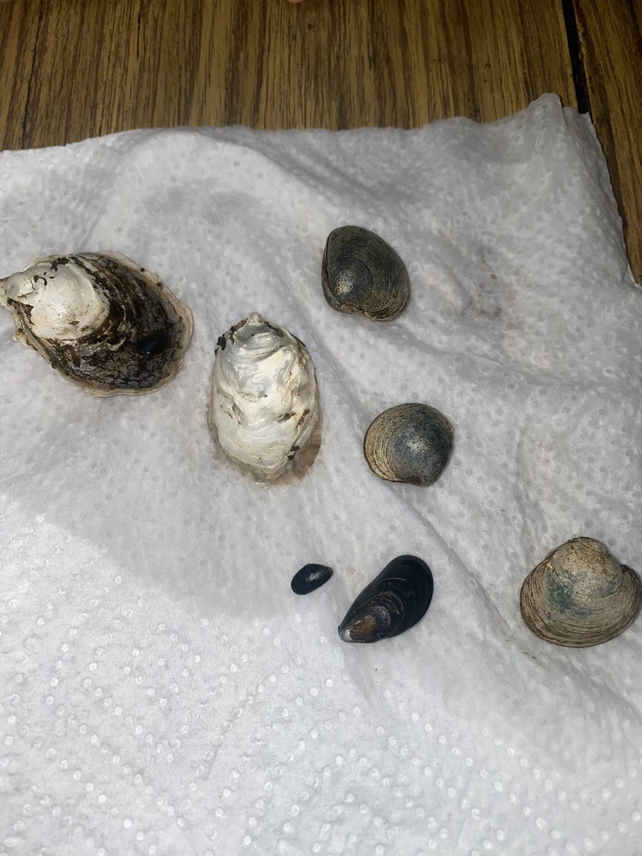 Sam Rust tweet media