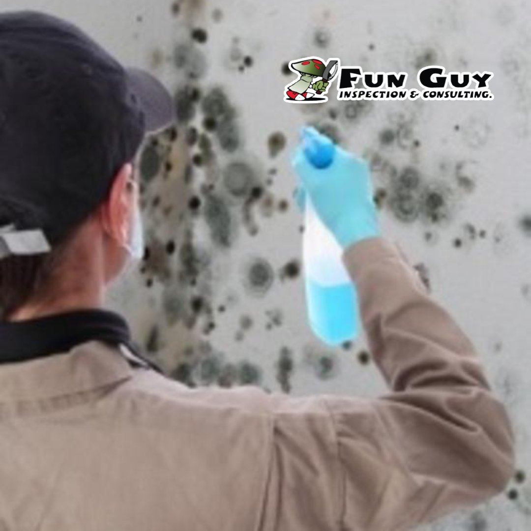 DID YOU KNOW THAT?

Not all black mold is toxic.

Molds have different colors, forms, and textures since they are natural. Mold in your attic, basement, or crawl area must be removed.

#moldremoval #homeinspection #moldremediation #FunGuyInspections #moldservices #MoldExpert