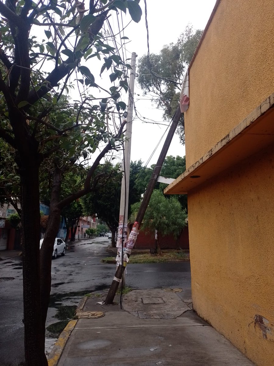 veronica maldonado tweet media