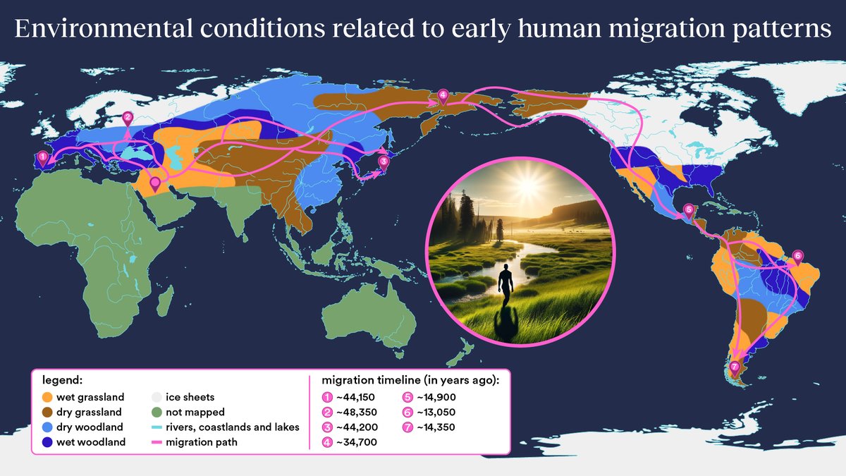 Researchers have gleaned new insights into the environmental conditions that influenced how early humans migrated across northern Eurasia and the Americas beyond Africa: bit.ly/4ch14Z5 
<a href="/FredSaltre/">Frédérik Saltré</a> @conservbytes @DNATimeTravel  @GlobEcoFlinders <a href="/Flinders/">Flinders University</a> <a href="/UniofAdelaide/">Uni of Adelaide</a>