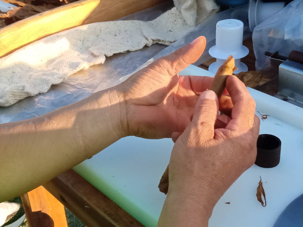 Con un cálido aplauso, marcado por el ritmo de las chavetas golpeando sobre el vapor, se recibió a los asistentes al Acto Nacional por el Día del Trabajador Tabacalero, celebrado en la Finca Ceballos, perteneciente a la Empresa de Acopio y Beneficio del Tabaco 'La Estrella' VC