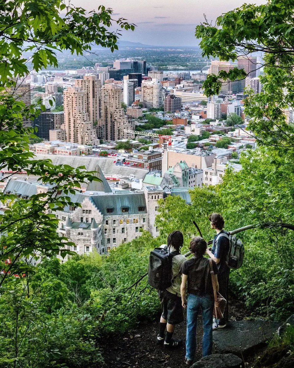 À chacun son préféré, mais tous les points de vue qu'offre le mont Royal sur la ville sont tout simplement époustouflants 🌳🤩🏙️ 📷ajmakesthings #Montréal #MTLmoments #PhotoduJour