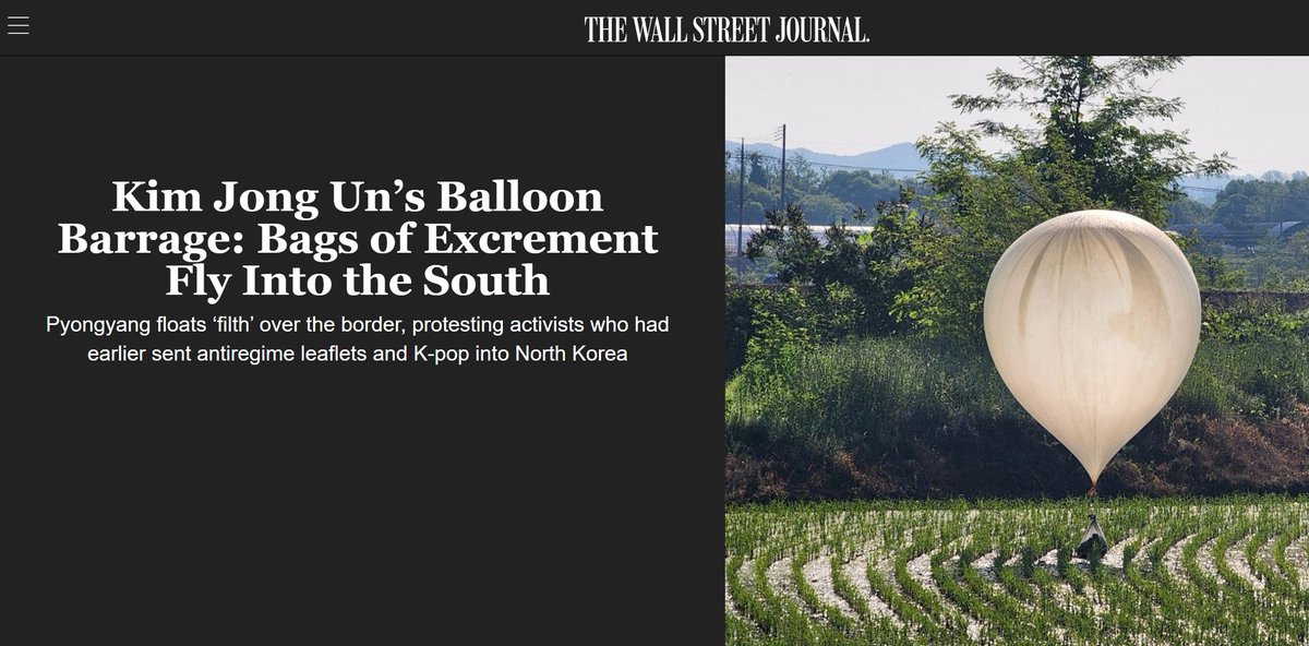 260 large white balloons carrying plastic bags from North Korea containing trash or/and excrement landed in North Korea. #takedowntheccp wsj.com/world/asia/kim…