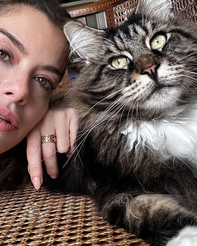 Alinne Moraes deslumbrante com o seu gatinho ✨