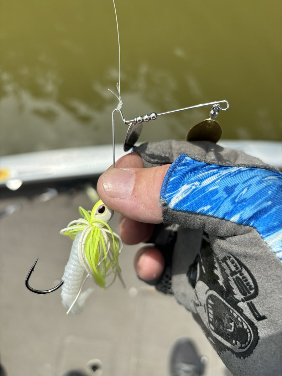 Sometimes you can catch several on the <a href="/BerkleyFishing/">BerkleyFishing</a> #spinnerbait &amp; other times only ONE⁉️I can honestly say this time my expectations were bigger than the fish! I’d stick w/the bigger compact or standard size. 3rd &amp; last replacement this go around!