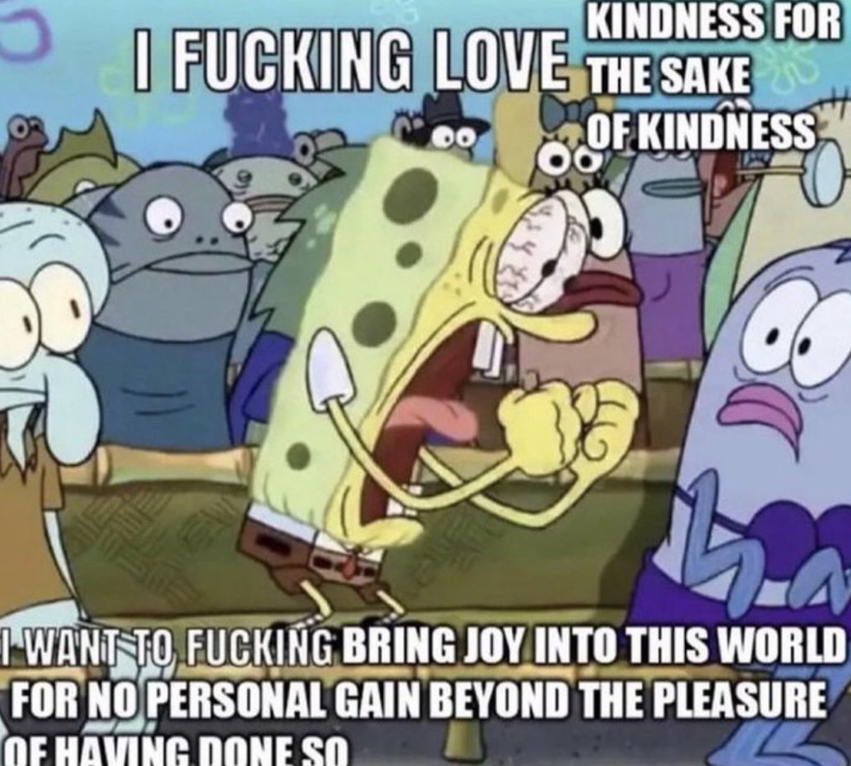 Respectful Memes tweet media