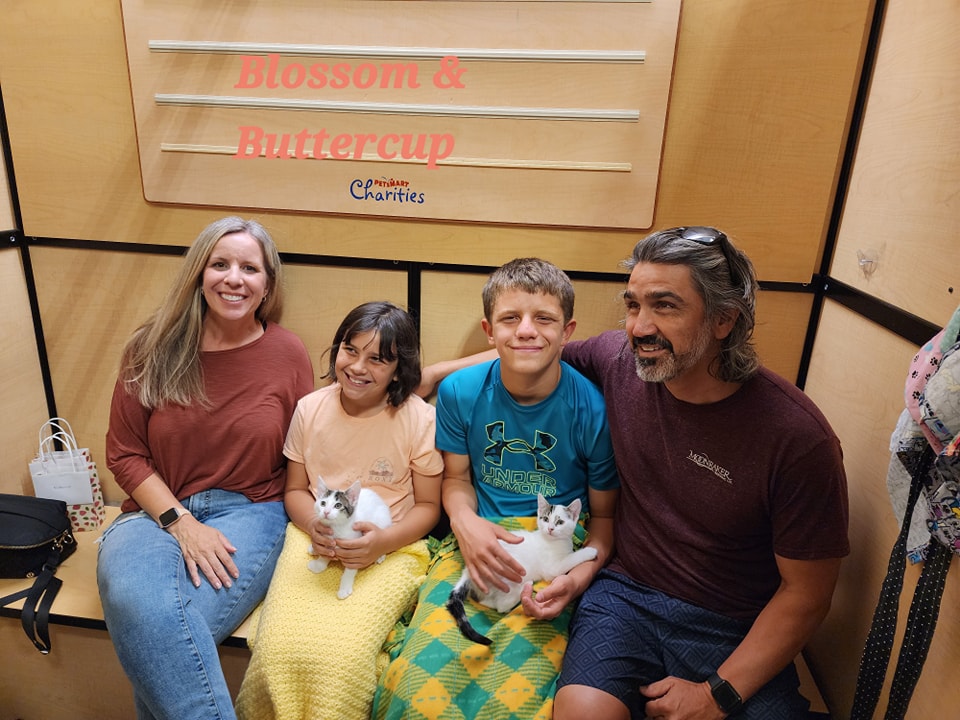 😍Adopted!!😍
This Family came in early to make sure they could meet Blossom and Buttercup. It was a great match. 
#gotchaday #fureverhome #twoisbetterthanone #kittens  #petsmartcharities #whiskerwednesday