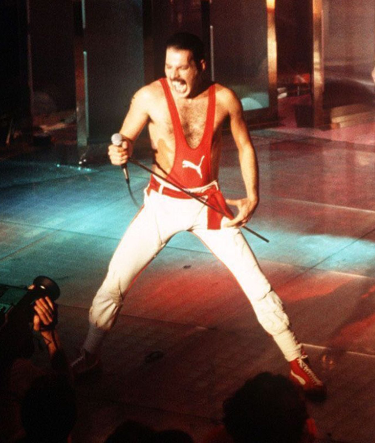 Freddie mercury wrestling shoes best sale