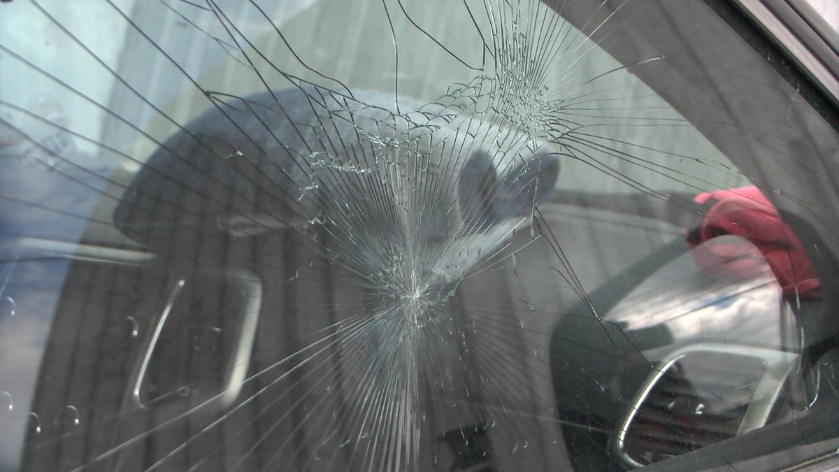 Isabel Schonemann tweet media