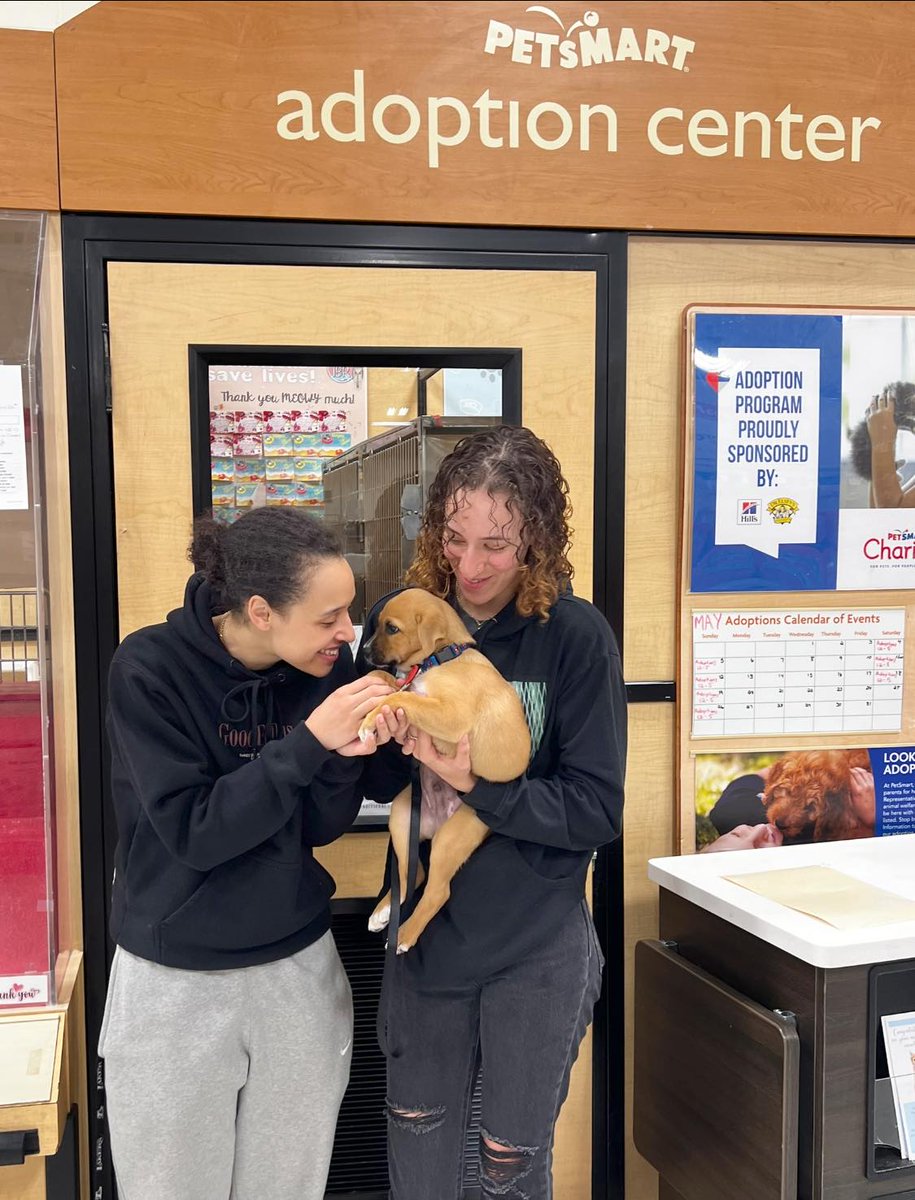 😍Adopted!!😍
Happy Gotcha Day Bowser!! 
We are so happy for you, be prepared to be spoiled by your new fur parents who love you so much already!
#gotchaday #fureverhome #puppies #petsmartcharities #whiskerwednesday