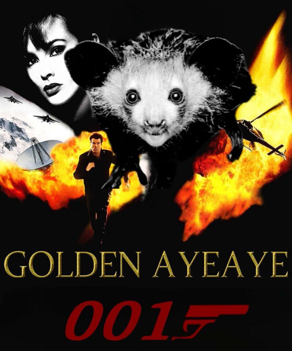 While everyone is chasing the latest celebrity coin

I bought the first memecoin ever on Ethereum sub 10M mc 

We are not the same