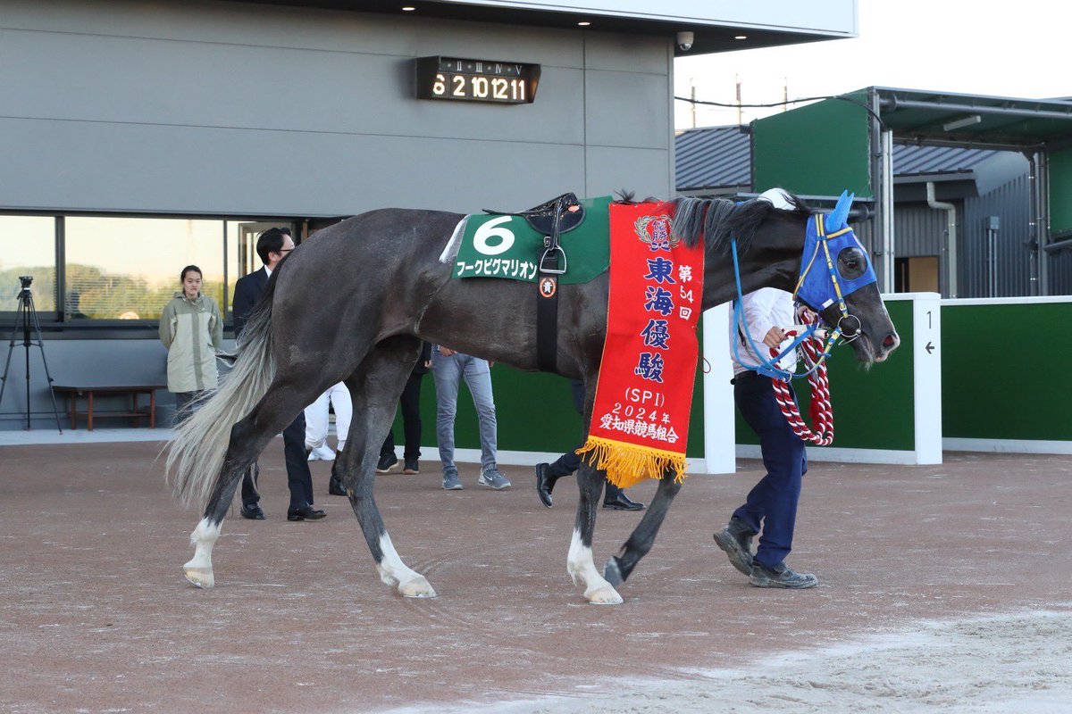 2178❣️ 瑪瑙　馬　唐馬　戦闘馬 スプリングS・本音直撃】デンクマール回避で〝プランB〟の連闘策