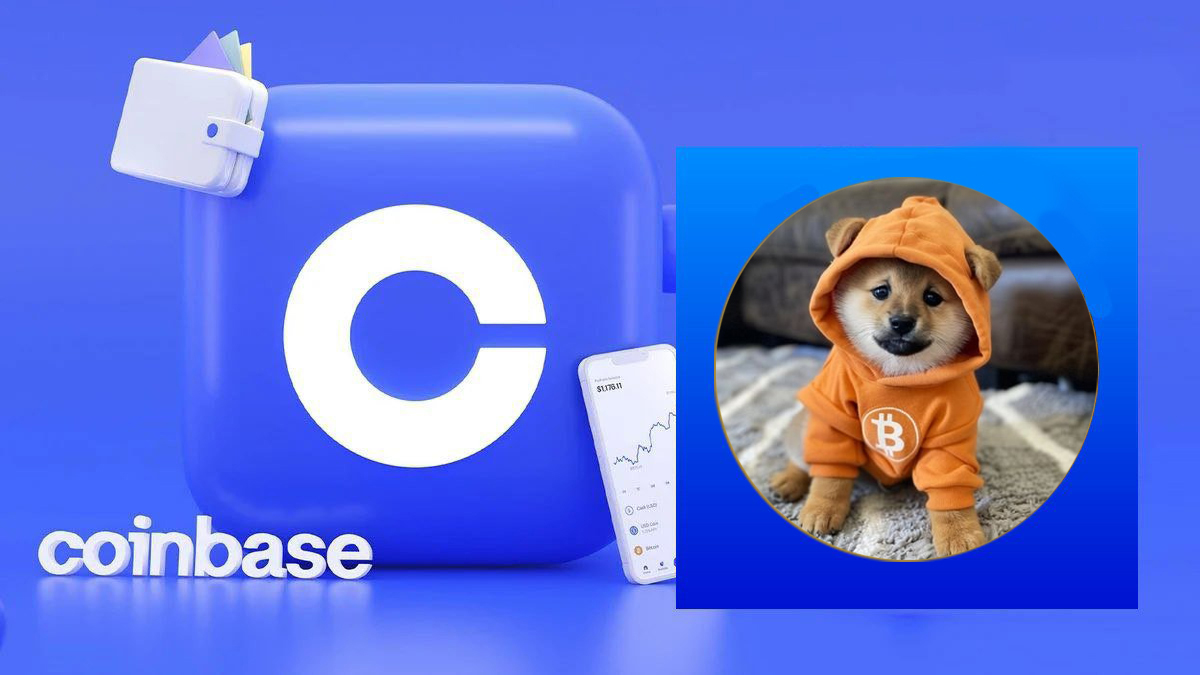 ❤️Like And🔄RT if you think  Coinbase #Coinbase  should list  $DOG 🙌

#Coinbase $PEPE Floki $DOG $BRETT Solana $DUKO $BOB  BlackRock $SNEK