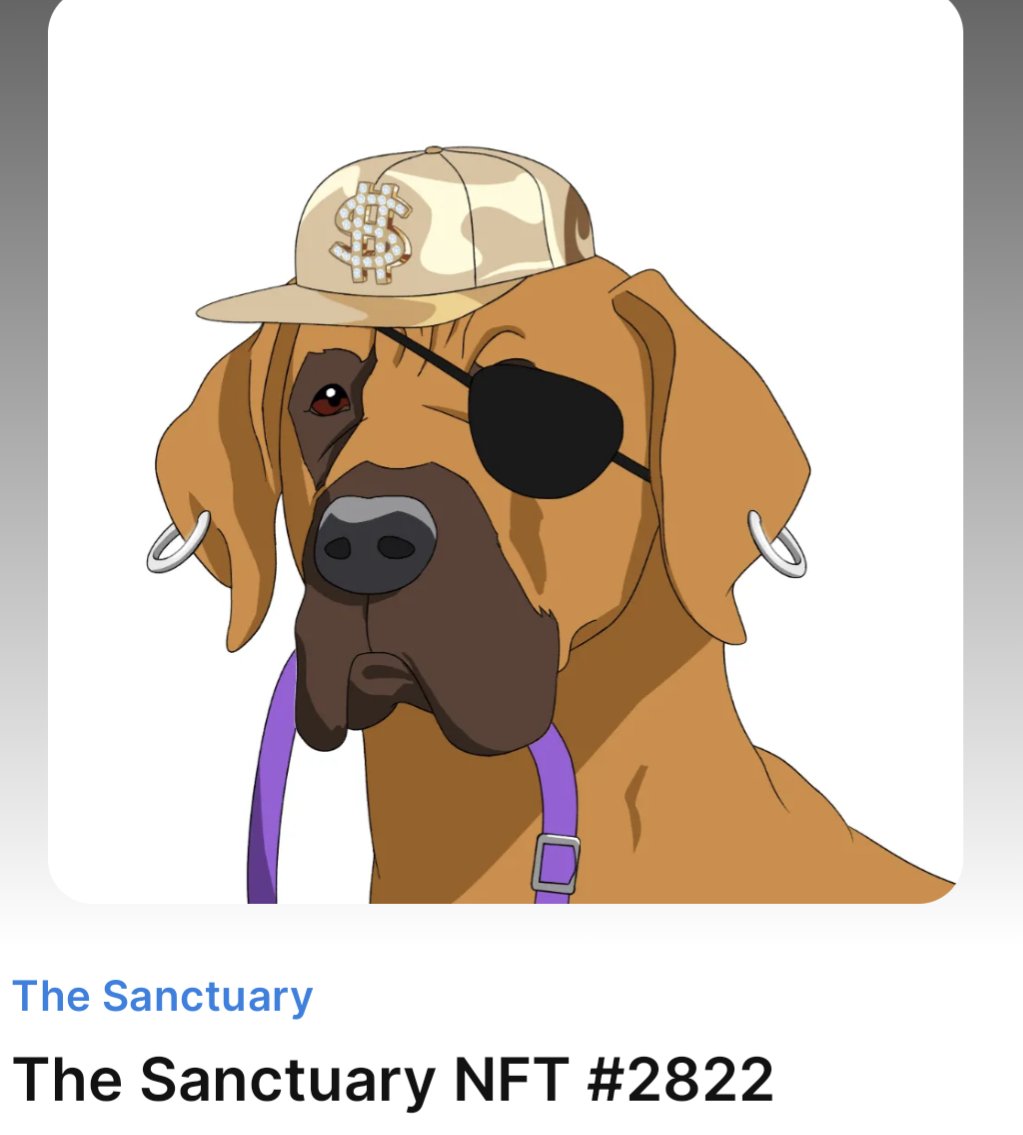 🐕‍🦺🦴🐕‍🦺🦴🐕‍🦺🦴🐕‍🦺🦴🐕‍🦺🦴🐕‍🦺🦴

Let's give away a <a href="/DogSanctuaryNFT/">The Sanctuary NFT</a> pup #NFT to someone new! 

♥️/RT/Tag 3 non holders!

24hrs.

Some lucky person is getting this good boy 👇

#k9crate
#dogsofweb3