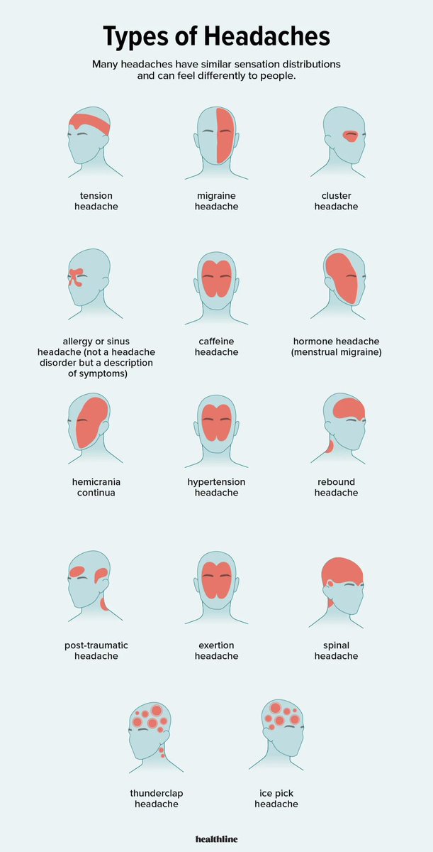 Types of headaches

#meded #medx #headaches