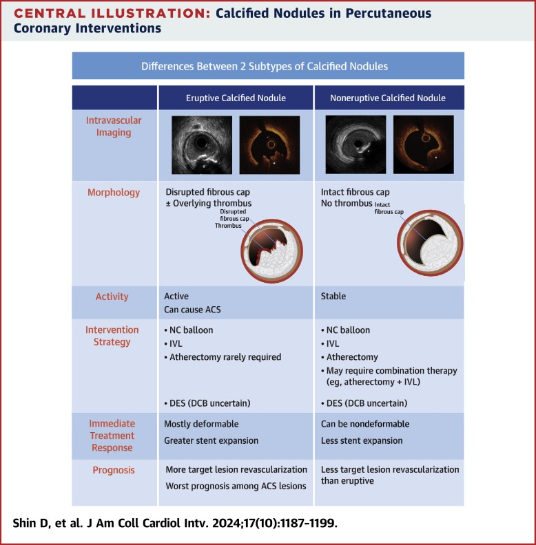 Everything about calcified nodules! authors.elsevier.com/a/1j9qM6uPJvuU… @JACCJournals @DoosupShin @jcspratt @MaeharaAkiko @ColletCarlos @EmanueleBarba13 @FlavioRibichini @NievesGonzalo1 @koshiro__Sakai @GreggWStone @ESHLOF @drallenj @OPCILive @StFrancis_LI @crfheart @djc795 @FernanOCT