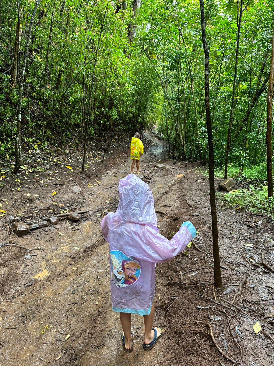 leafbox's tweet image. Foraging for strawberry guavas with the little ones in the rain and mud...