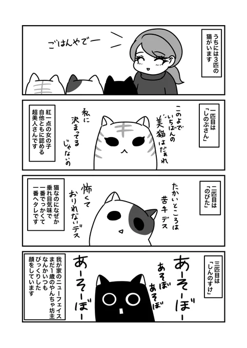 「猫いると毎日がミステリー」
(0/7)猫紹介 