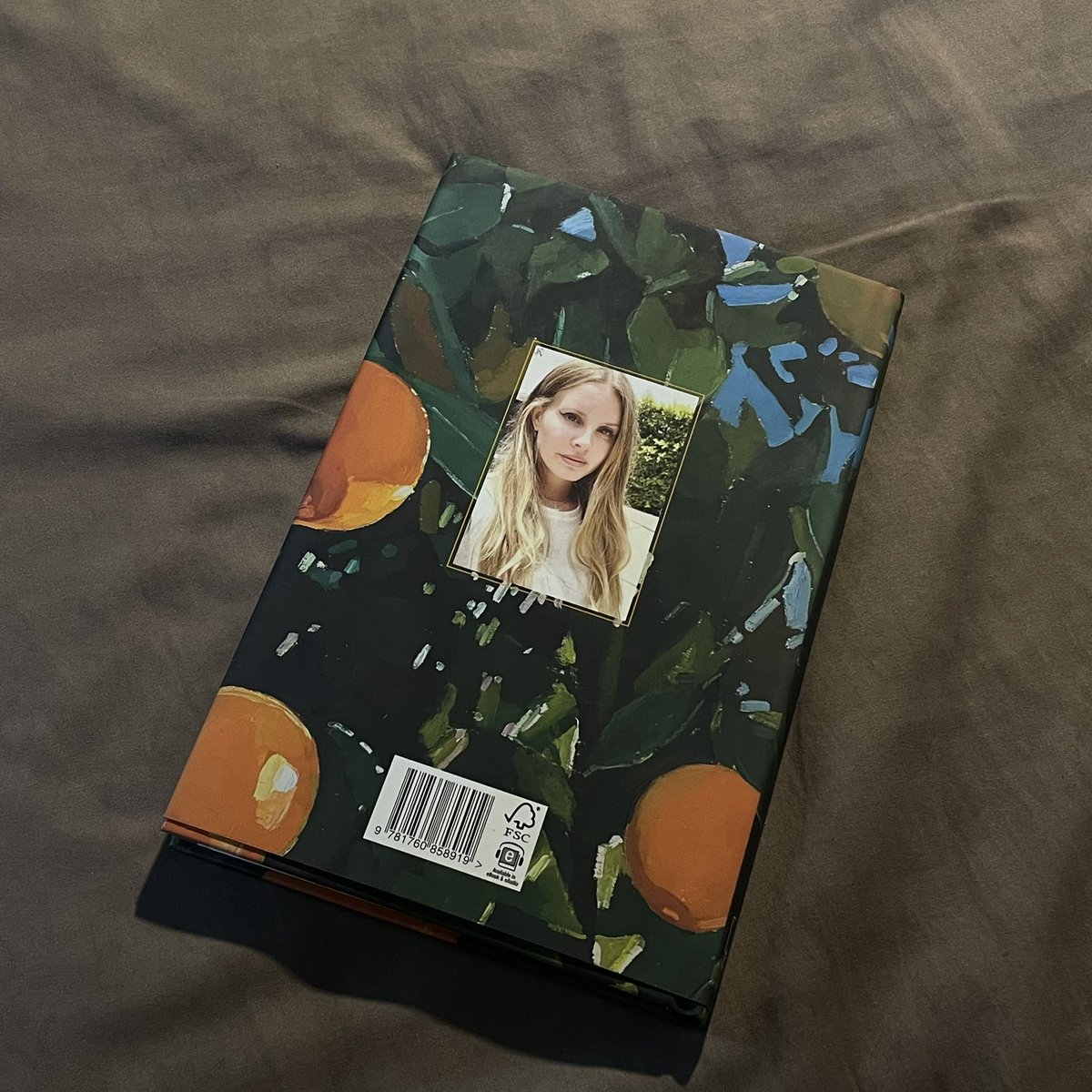 tobeysouls's tweet photo. ส่งต��อหนังสือ Violet Bent Backwards Over The Grass - Lana Del Rey 🍊🪶 หนังสือบทกวีของพระแม่ลาน่า ! สภาพดีมากๆ มีปกด้านนอกด้วย !

🏷️ 280฿ รวมส่งให้ด้วยย

#หนังสือภาษาอังกฤษมือสอง #นิยายภาษาอังกฤษ #หนังสือมือสอง https://t.co/VSELyFYC4X