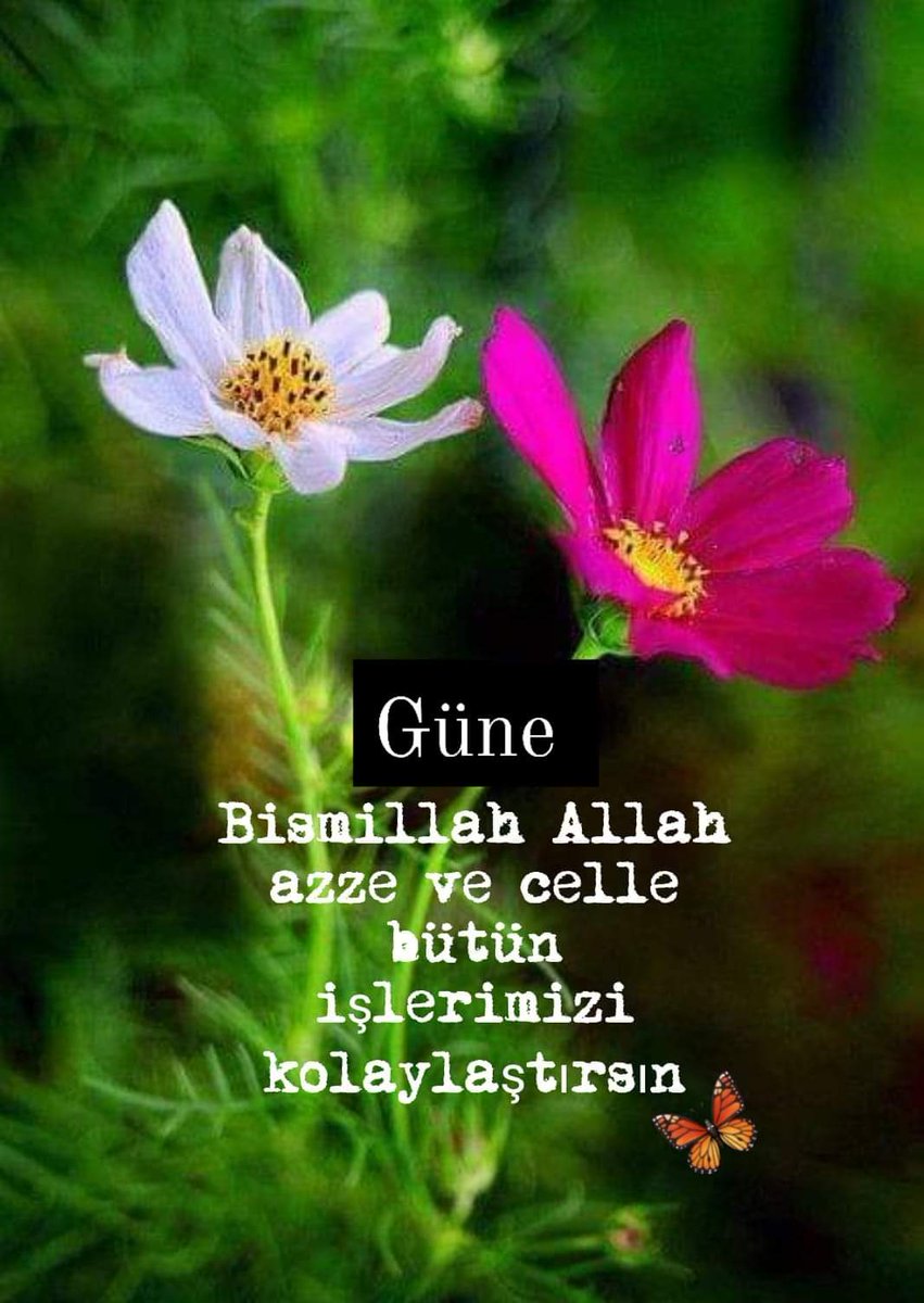 Şüphesiz, benim mutluluğum, imânımdadır... Ve şüphesiz, #İmânım kalbimdedir.... Ve muhakkak, kalbim #Allah'a aittir. - Hz. Ebû bekir (r.a) #Hayırlısabahlar #Bismillahirrahmanirrahim #Gazze