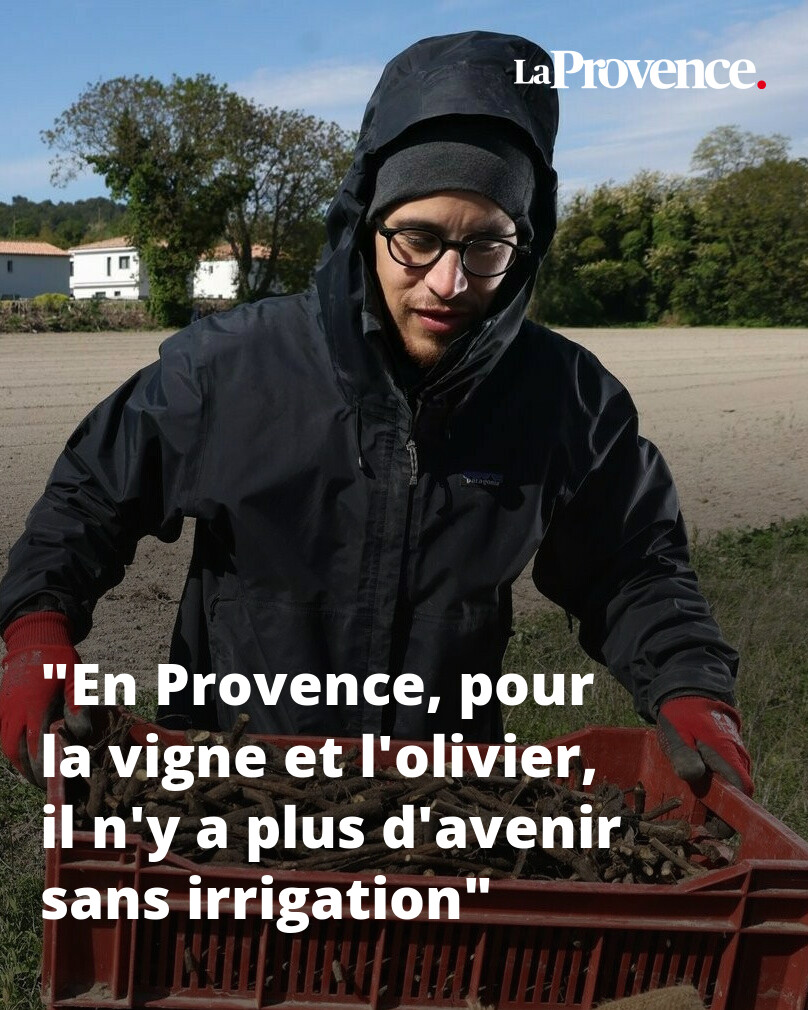 Interview de Xuan Lai Dao, ingénieur agronome pour Agribio 13 👉 l.laprovence.com/EmWX