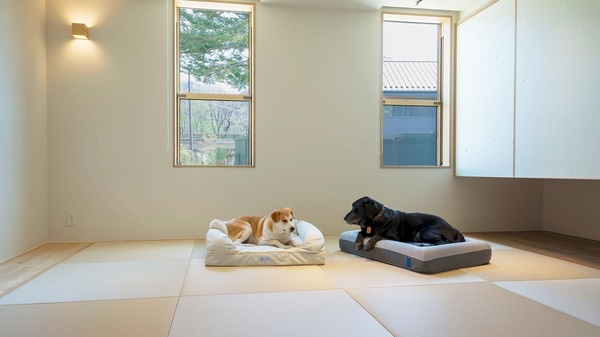 『気を使わないNEWオープン施設』ヤバすぎ！
　「Rakuten STAY VILLA 鬼怒川リバーサイド」は、2階建てメゾネットタイプ（1棟貸し切り）ヴィラ型宿泊施設です。
ファミリー向けの客室には、ネット遊具と滑り台が特徴のプレイルーム、愛犬と宿泊できる客室には足洗い場付きの庭や愛犬と楽しめる足湯など