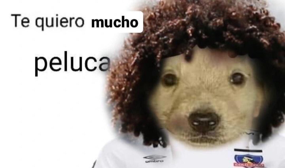 Te quiero mucho Maximiliano Joel Falcón Picart 
#VamosColoColo