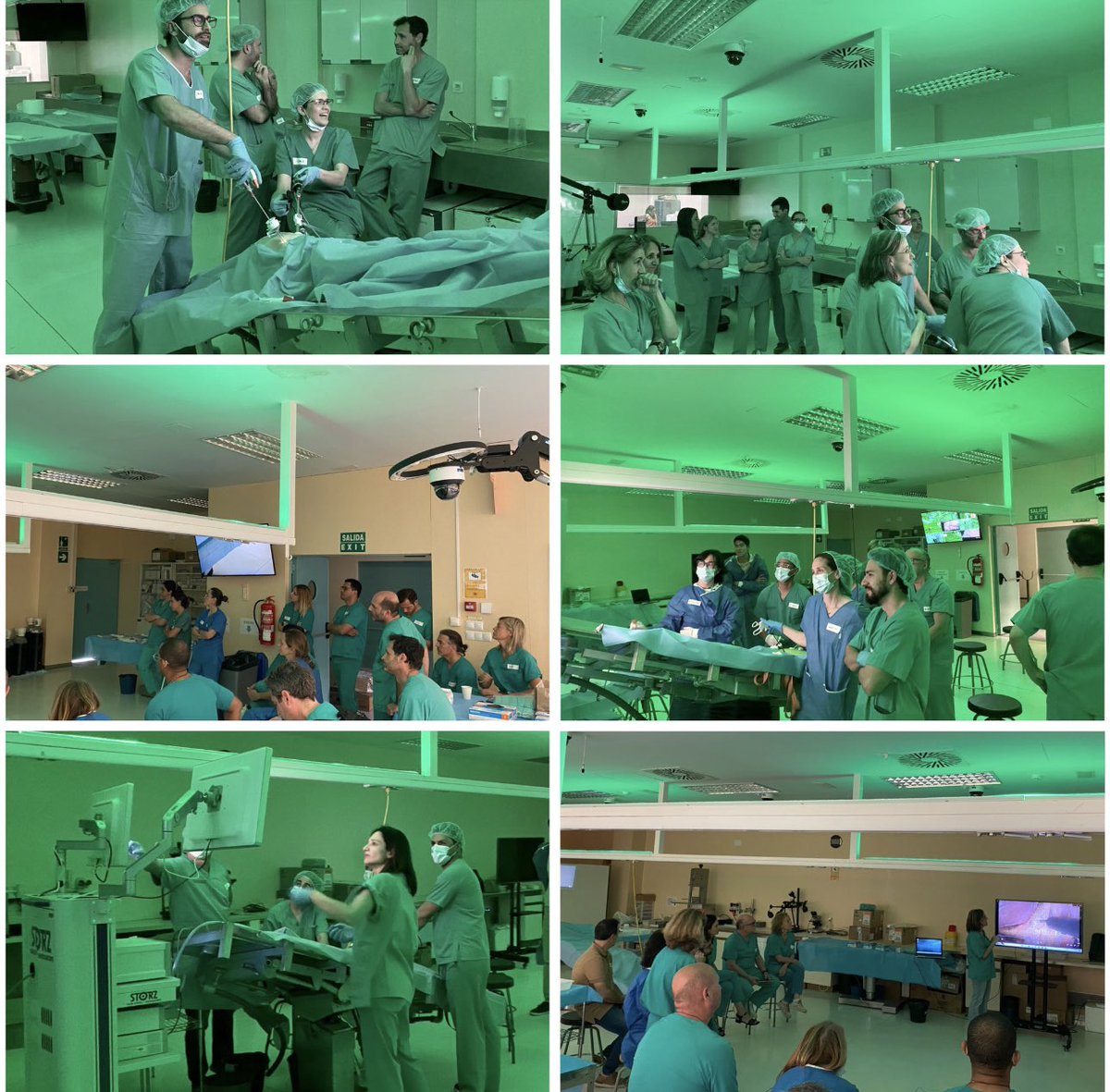 VVigorita's tweet photo. Un año más compartiendo experiencias en la V edición del Máster de Suelo Pélvico 
@UniversidadMH 
@AECP_FAECP 
@aecirujanos 
@coloproctoaec  
@drArroyoElche 
@ArantxaMunozD 
@castillo_cgdcdj 
@LuismiJ76 
@AnaSanchezRom 
@AlbertoParajo 
@fernandjimenez
@marioorlo https://t.co/4ByZRFmQRI