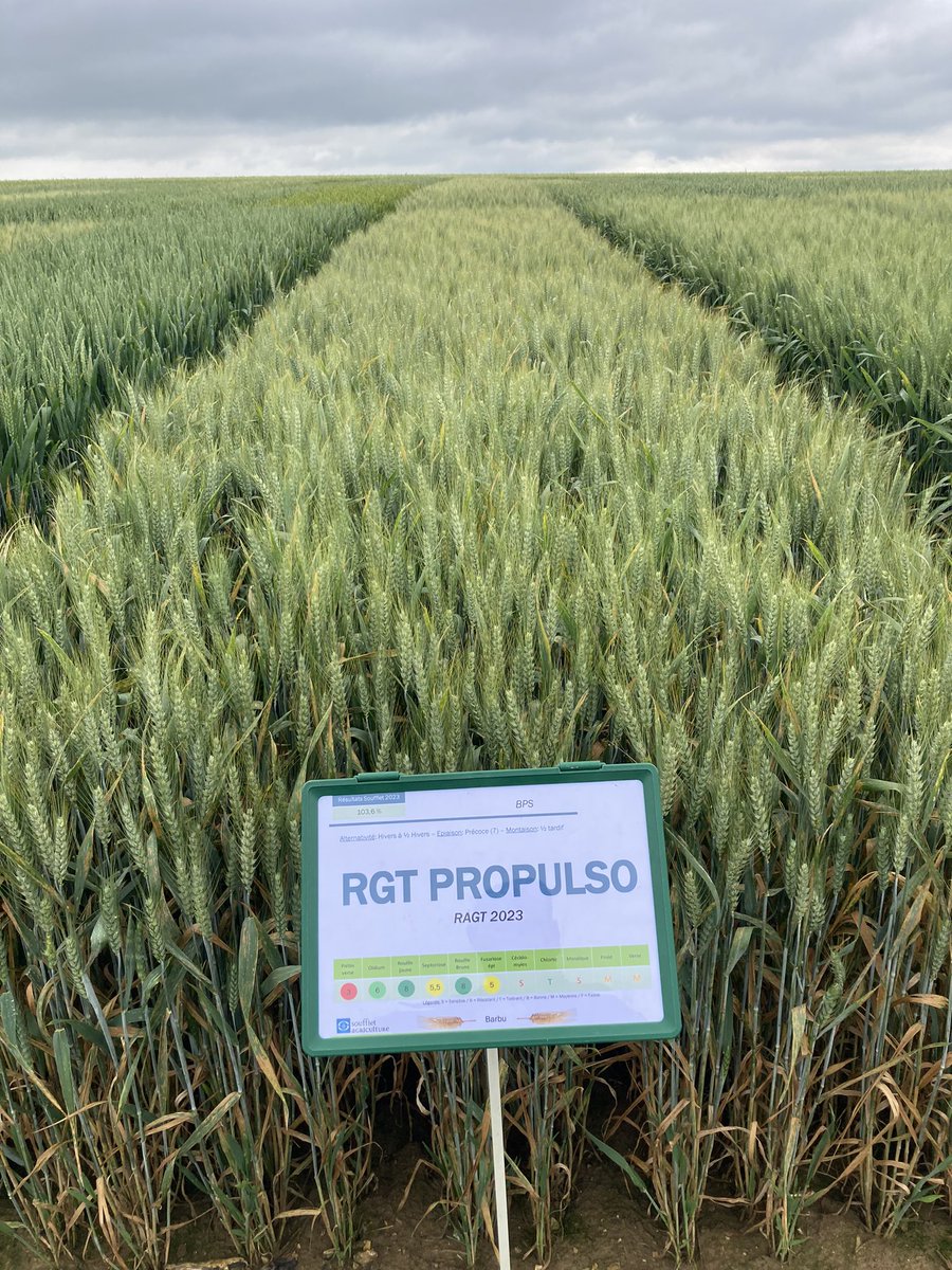 Emmanuel BONNIN tweet media