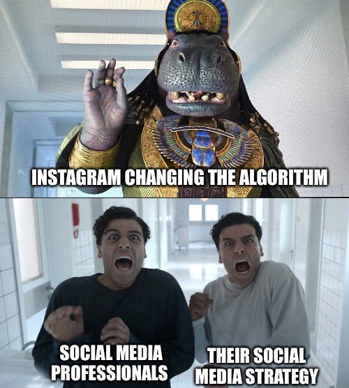 khurram_malik6's tweet image. When Instagram changes the algorithm, social media professionals transform their strategy like: 🔄💡 Adapting, pivoting, and staying one step ahead in the digital dance. #AlgorithmAntics #StrategyShift #SocialMediaWizards