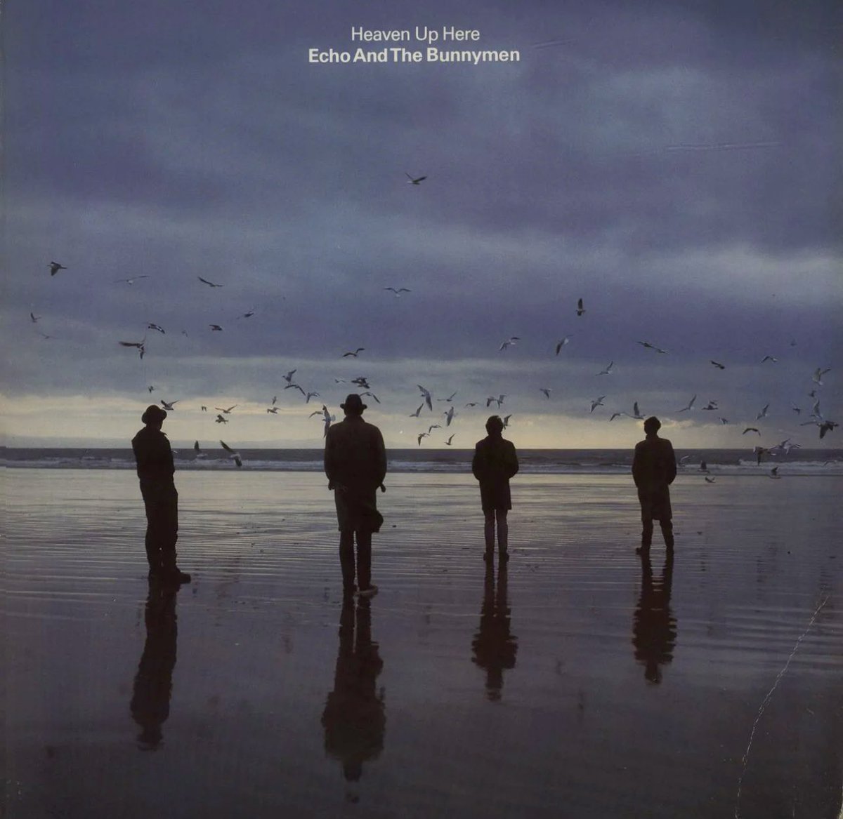 Echo and the Bunnymen Heaven Up Here 30 May 1981 @NewWaveAndPunk #echoandthebunnymen #music #80s #record #vinylalbum #vinyl #vinylrecords