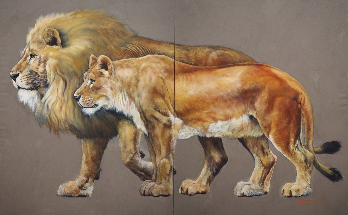 ライオンの油彩の制作プロセス
1 ラフスケッチ 2015年8月制作
2 参考資料としてエレンベルガーの動物解剖図を使用
3 知人から提供してもらったライオンの写真資料
4 原寸大の油彩作品 2016〜17年制作 
