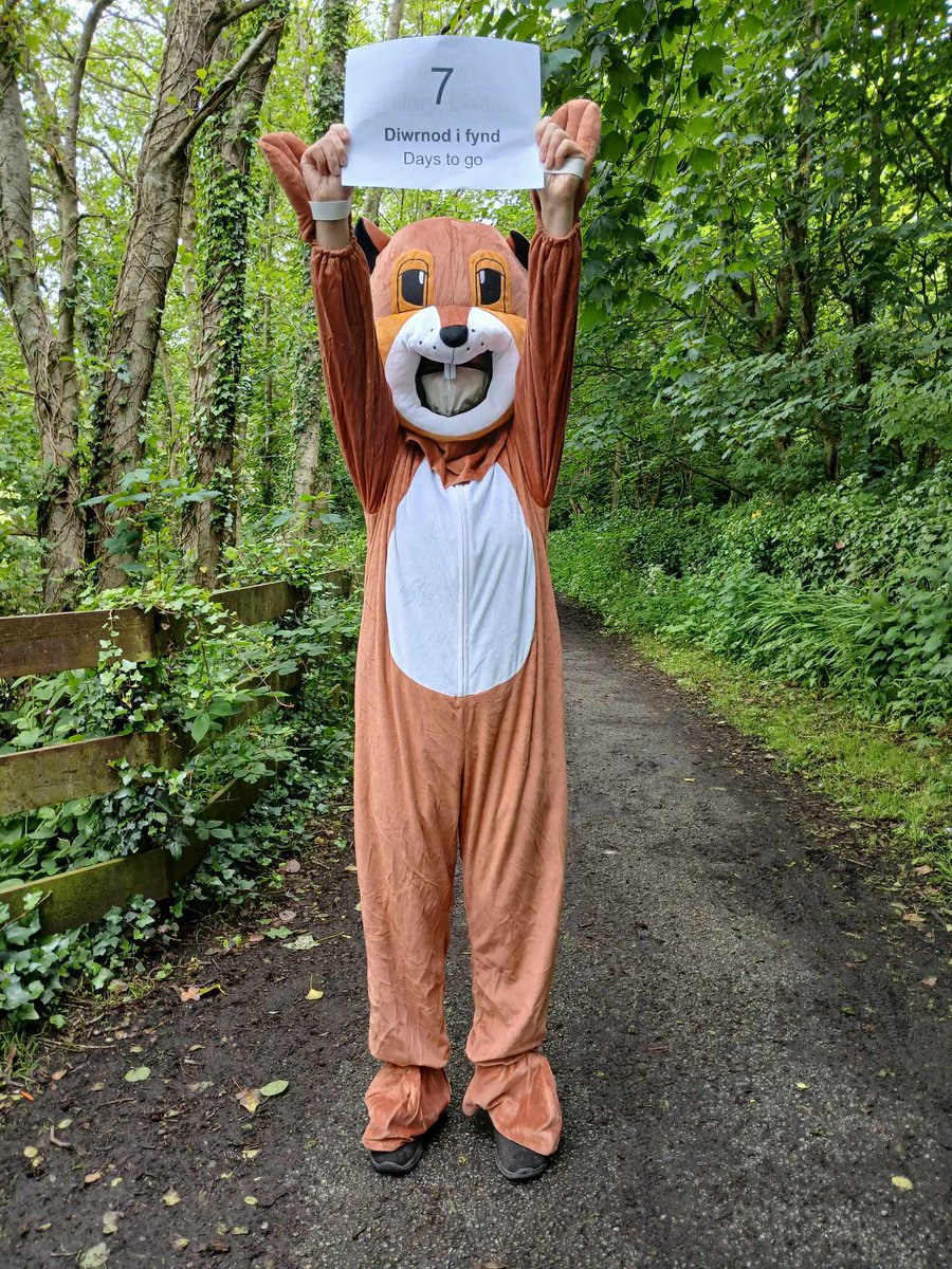 7 Days till the judicial review in the High Court Cardiff. Please retweet in support🙏: After a confirmation yesterday by local squirrel expert, Nerys Cnau Jones has been spotted by many Penrhos supporters. Local photographer Brian Kitt has just reported that Nerys has in fact