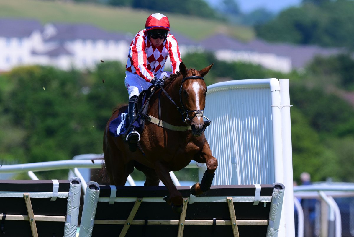 Etoile Brillante runs today @ 7.10pm <a href="/WarwickRaces/">Warwick Racecourse</a> in the Sheldon Bosley Knight Novices' Handicap Hurdle (Class 5) (4yo+ 0-105) over 2 mile 5 furlongs - Jockey <a href="/AaronAndo91/">Aaron Anderson</a> (5lb) - Trainer Michael Wigham - Owner <a href="/RacehorseOwner1/">Racehorse Ownership Club</a>