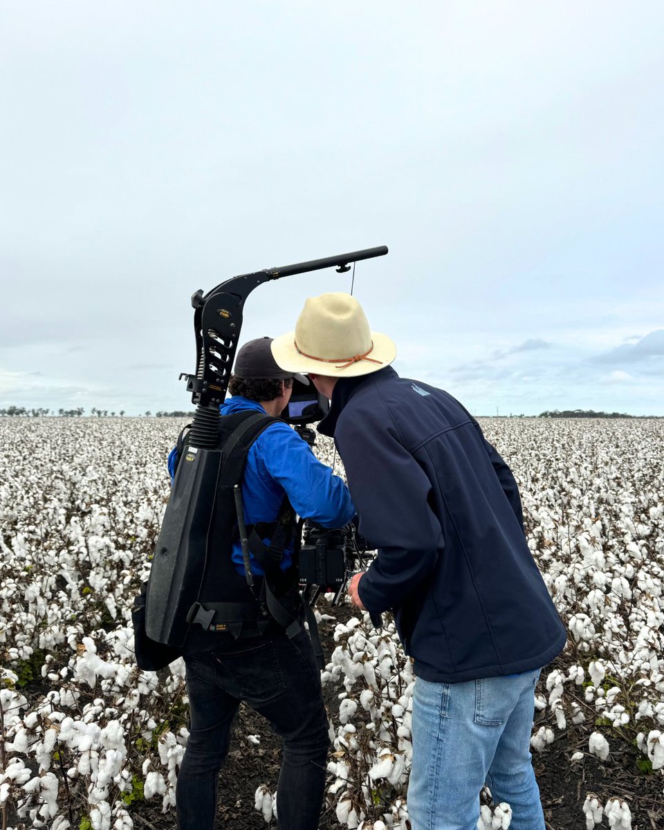 cussonsmedia's tweet photo. The team have been out shooting in the cotton crops all over south west Queensland and western New South Wales again this week.  And the weather has held out nicely for the shoots and harvesting! ☀

#cussonsmedia #agmedia #foundedinagriculture #australianag #cotton https://t.co/bqB1gm6rOu