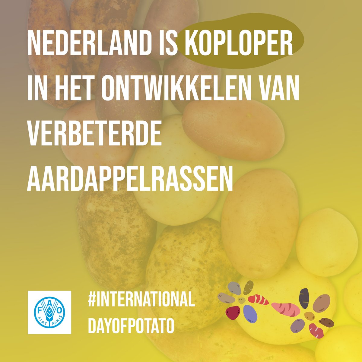 André Hoogendijk tweet media