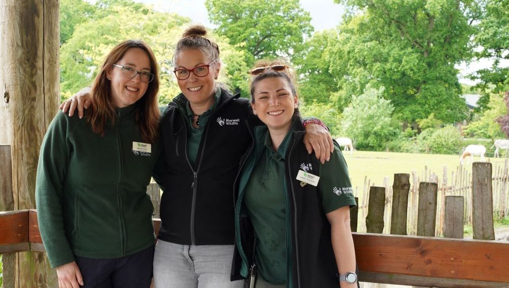 Marwellwildlife's tweet photo. It’s Veterinary Nurse Awareness Month 🤩

Read full interview: https://t.co/ddedIJpq0K

To celebrate Veterinary Nurse Awareness Month, we’ve interviewed Marwell Zoo Veterinary Nurse, Lauren Valentine to find out the highs and lows of life working at the zoo. 

#VNAM #VetNurse https://t.co/wQRSZD2R0T