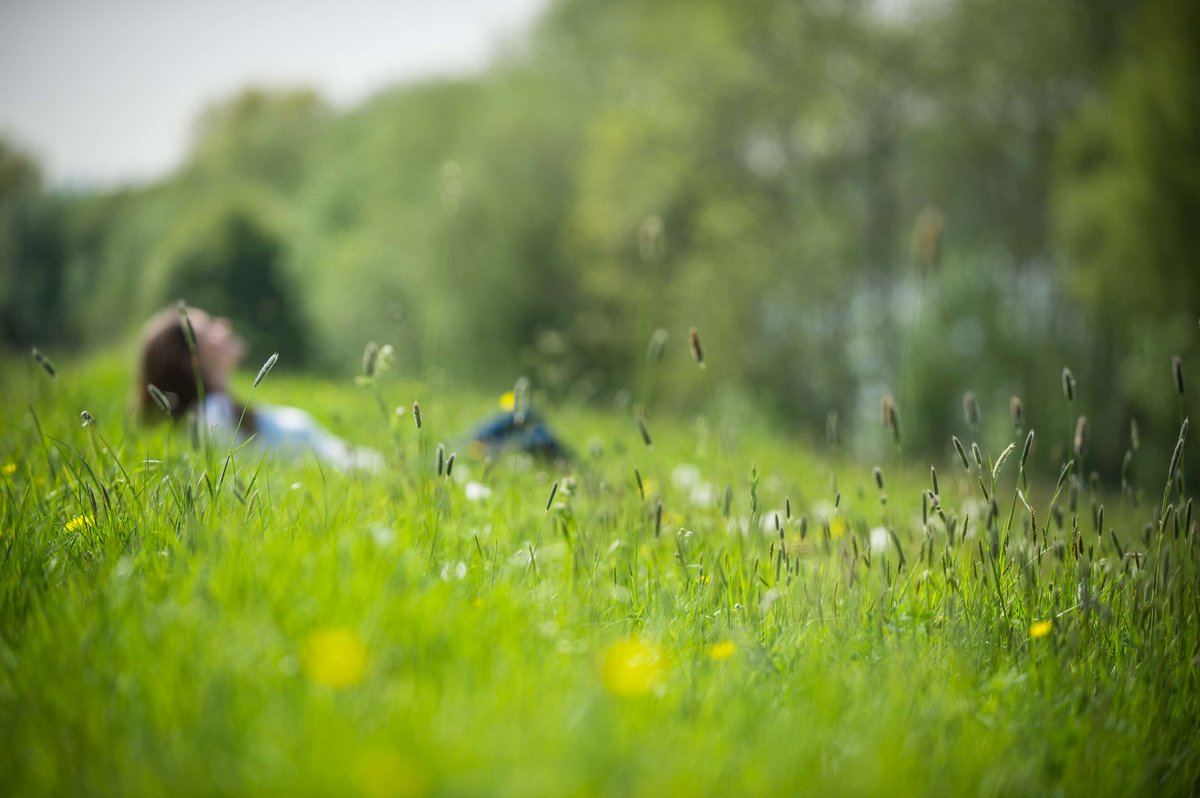 'A daily dose of nature became a pleasure. It became easier. I started to work better, came up with new creative ideas, felt less stressed'.  Read our blog about how 30 Days Wild helps you feel benefits of nature.  🌼🍃🦋

Sign up now for your FREE pack👇
ow.ly/luJK50RSpak