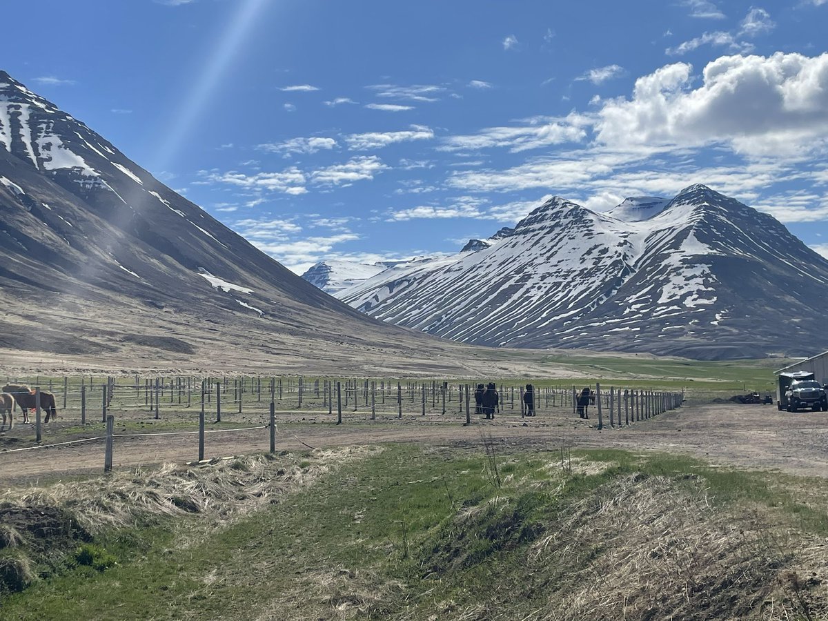 Leaving Iceland with even more admiration for wonderful, resilient and totally sound people. Here to kick off a Young Equine Innovators programme which is going to be very special.