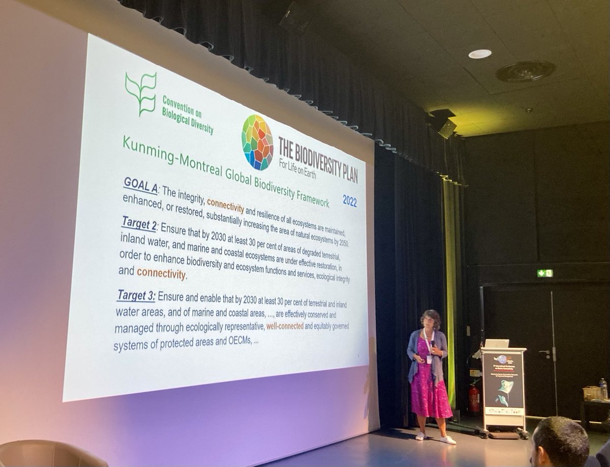 ADarnaude's tweet image. The last (but not least) day of the #imarco2024 conference starts with a fantastic keynote by Anna Metaxas, explaining how marine connectivity has to be measured &amp;amp; communicated to be successfully implemented in environmental policy &amp;amp; management. ⁦@SeaUnicorn2020⁩ ⁦⁩