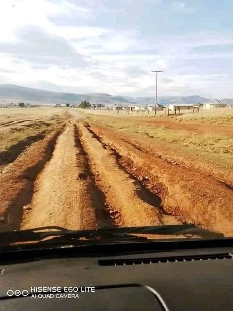 phatrioyothi's tweet image. These ones don’t learn. 

 #ElectionResults #ANC #Vote