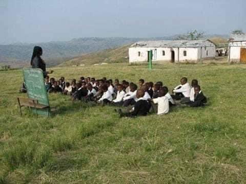 phatrioyothi's tweet image. These ones don’t learn. 

 #ElectionResults #ANC #Vote