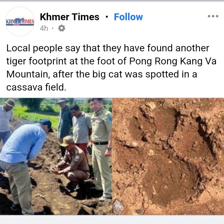 One has to wonder at the timing of this; 

As India prepares to send 4 Tigers to Cambodia because they are functionally extinct in the country.  🤔