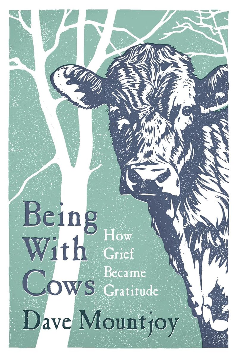 BEING WITH COWS BY DAVE MOUNTJOY BLOG TOUR #BEINGWITHCOWS #DAVEMOUNTJOY @BEDSQPUBLISHERS @RANDOMTTOURS #BOOKSPOTLIGHT …thingsthroughmyletterbox.blogspot.com/2024/05/being-…