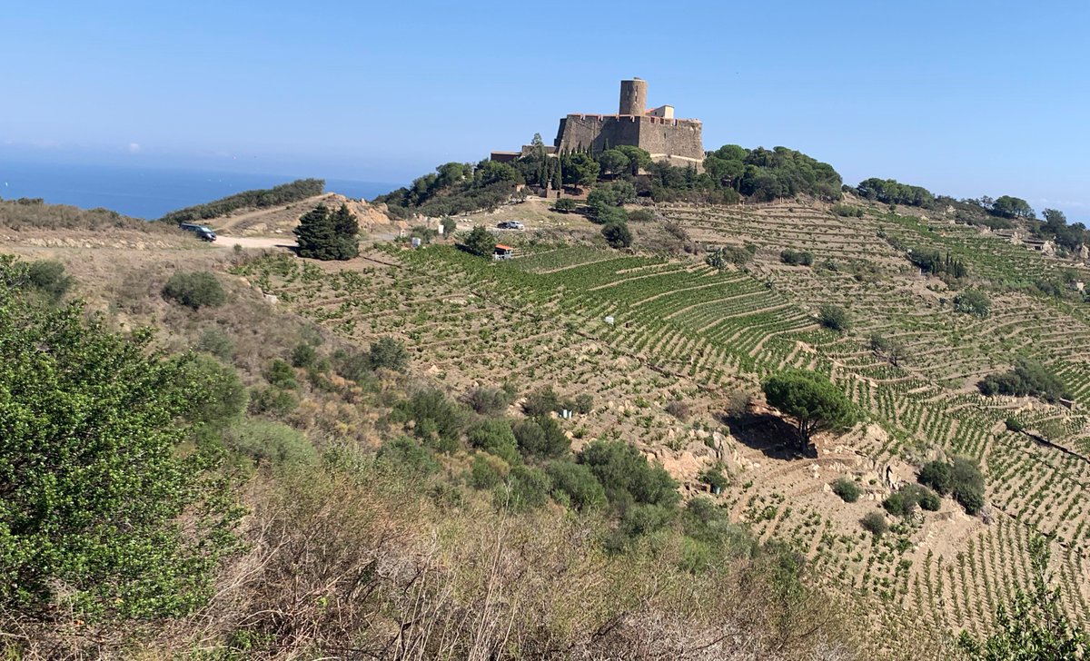 📷#JeudiPhoto

Le magnifique Fort Saint-Elme à Collioure qui  domine la côte vermeille🌊. 

Crédit 📷 : V.L

#PyrénéesOrientales #Collioure