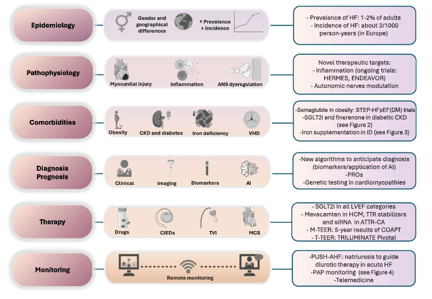 2024 Heart Failure update has just been published in ESC Heart Failure. It's a long read, but worth the time :)
doi.org/10.1002/ehf2.1…
<a href="/FudimMarat/">Marat Fudim, MD MHS</a> <a href="/MarcoMetra/">Marco Metra</a> <a href="/escardio/">European Society of Cardiology</a> <a href="/Cardiotweet/">Cardiotweet</a> <a href="/M_Sokolski/">Mateusz Sokolski</a> <a href="/AlexMebazaa/">Alexandre Mebazaa</a> <a href="/EJHFEiC/">EJHF Editor-in-Chief</a>