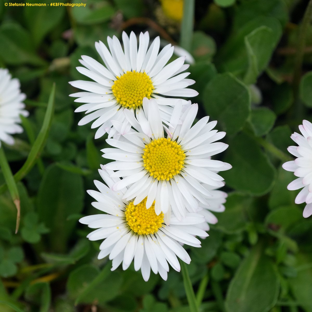 'Dreiklang' #FotoVorschlag

---
#KBFPhotography #DSLR #Nikon #Photography