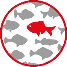 Controcorr's tweet image. 🔴Elezioni Inpgi 2024, ci sono ancora oggi e domani per votare🔴
Ecco il nostro programma e i candidati @Controcorr:

Nel Lazio sarà possibile esprimere sei preferenze:
Massimo MARCIANO
Beatrice CURCI
Daniela MOLINA
Maurizio PIZZUTO
Andrea RUSTICHELLI
Marina TESTA